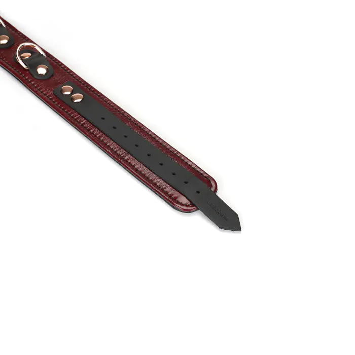 Шкіряний нашийник з повідцем Liebe Seele Wine Red Collar and Leash — фото 6