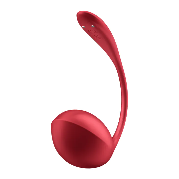 Смарт віброяйце Satisfyer Shiny Petal Connect App — фото 4