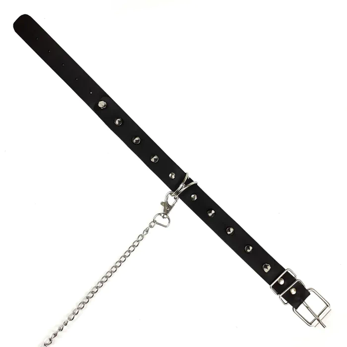 Нашийник Art of Sex Collar Spikes and Leash — фото 6
