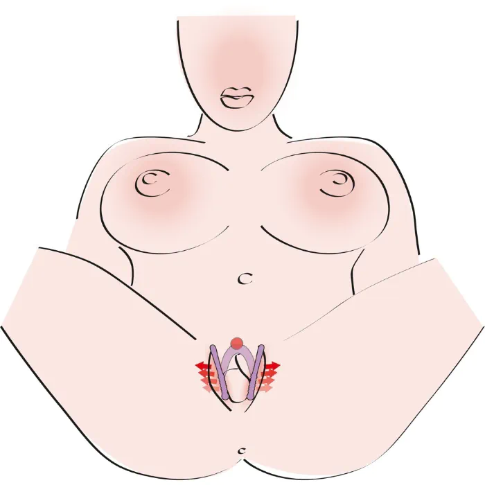 Розширювач для статевих губ та стимулятор для точки G Intimate Spreader — фото 6