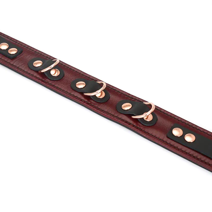 Шкіряний нашийник з повідцем Liebe Seele Wine Red Collar and Leash — фото 8