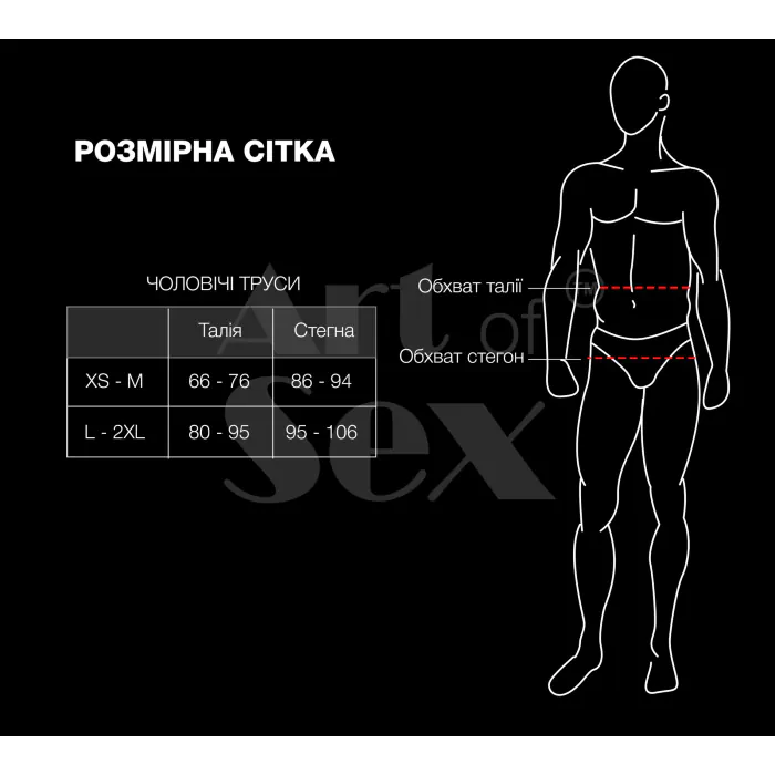 Чоловічі трусики із силіконовою анальною пробкою Art of Sex - Sexy Panties — фото 3