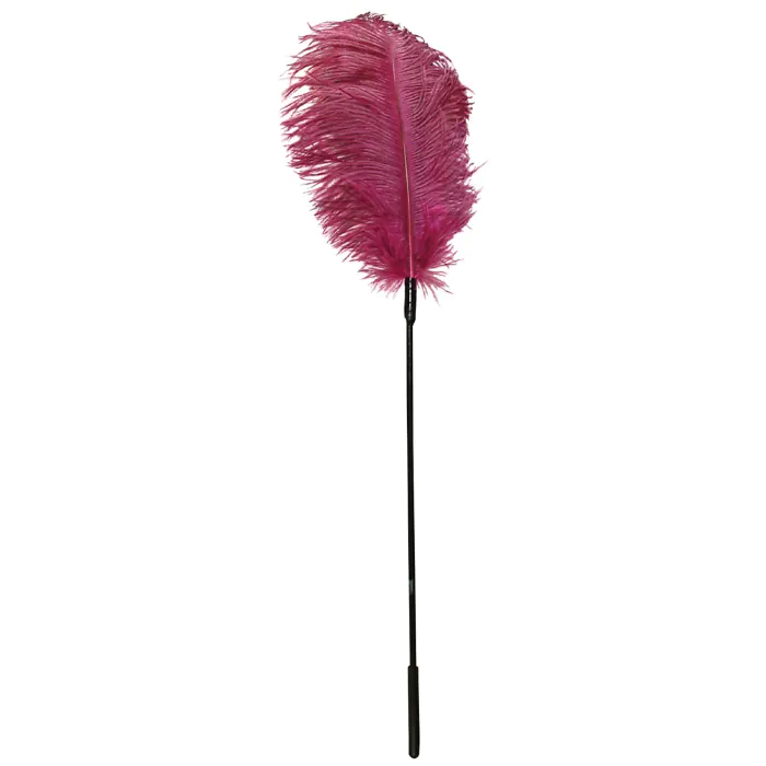 Пір’їнка – Feather — фото 2