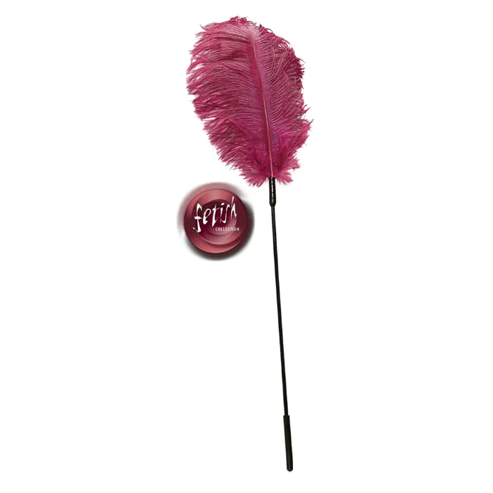 Пір’їнка – Feather — фото 4