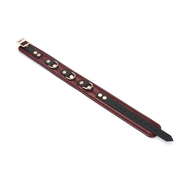 Шкіряний нашийник з повідцем Liebe Seele Wine Red Collar and Leash — фото 9