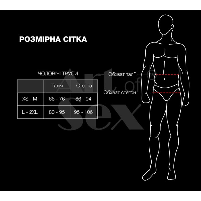 Чоловічі трусики із силіконовою анальною пробкою Art of Sex - Sexy Panties — фото 9