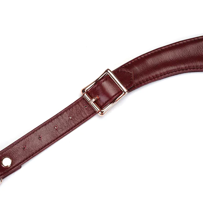 Шкіряні трусики для вібратора Liebe Seele Wine Red Forced Orgasm Strop — фото 6